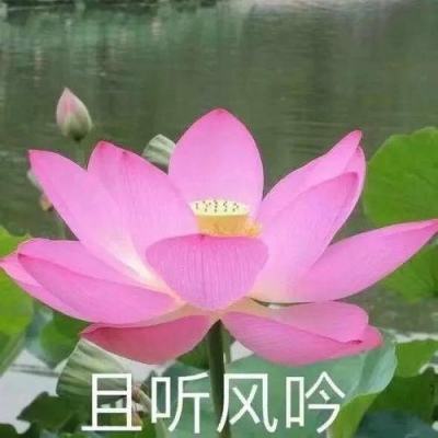 残疾人田径世锦赛：陈世昌破赛会纪录夺中国队首金